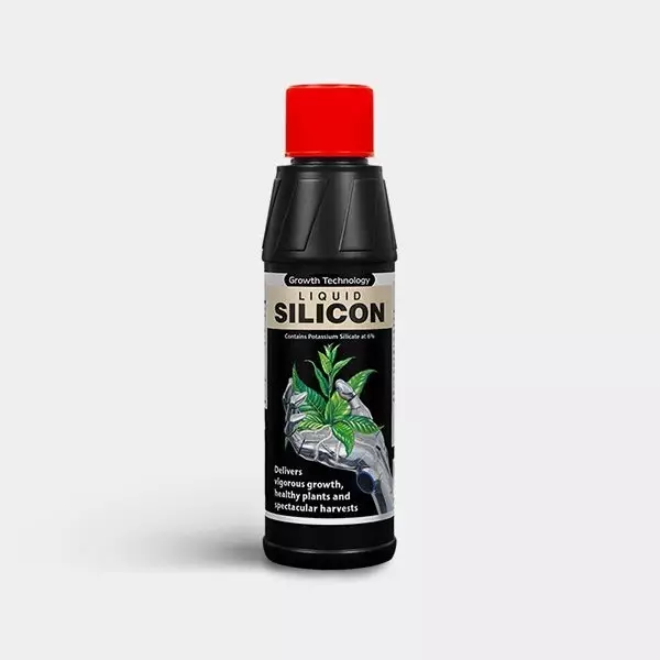 Liquid Silicon by Growth Technology - GB