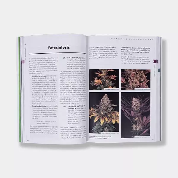 El Libro de Toni13 - GB The Green Brand