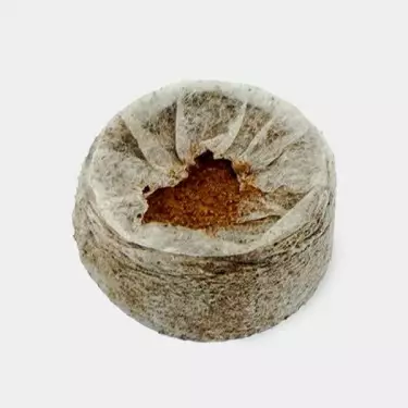 Buy Jiffy 7 35 mm coco coir plugs - GB