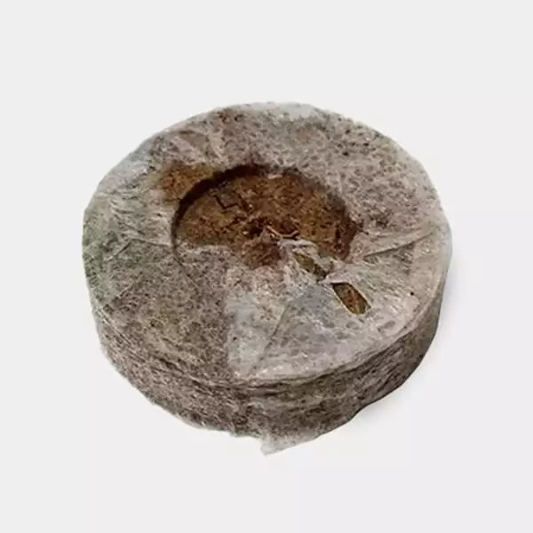 View 24mm Jiffy Plugs for cutting/germinating - Grow Barato