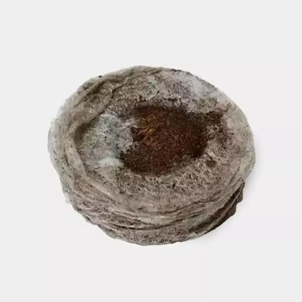 View 33mm Jiffy Peat Pellets for Cuttings - GB