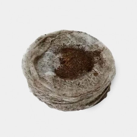 Jiffy7 de Turba 33mm