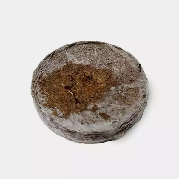 View Compacted peat pellets Jiffy 7 - 41/44mm - GB