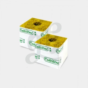 Rockwool cubes for cuttings