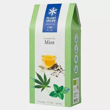 8% CBG Mint Infusion - GB The Green Brand