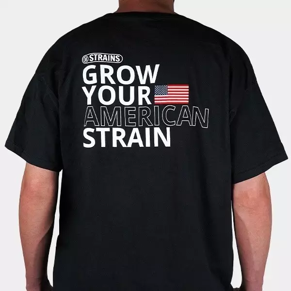 Strain Box 2 T-shirt back part