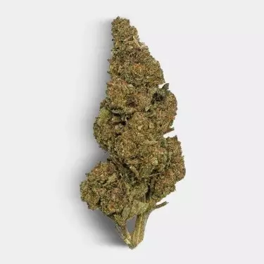 Flores de CBD The Family REAL TALK flor