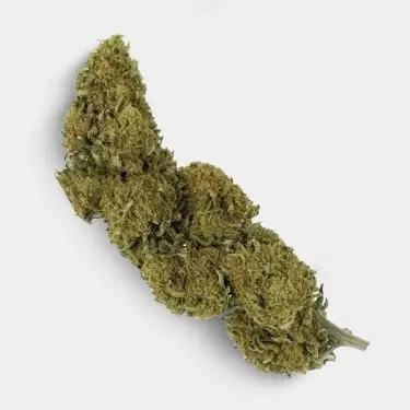 Flores CBD Outdoor 25 g + Neceser Antiolor GB og kush