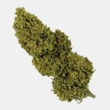 Flores CBD Outdoor 25 g + Neceser Antiolor GB blue cheese