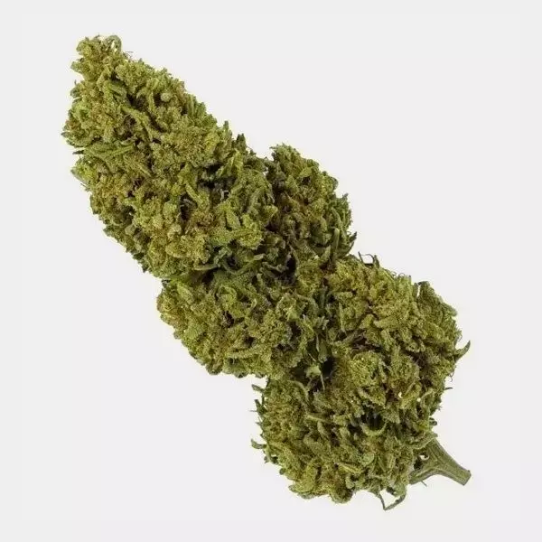 Flores CBD Outdoor 25 g + Neceser Antiolor GB blue cheese