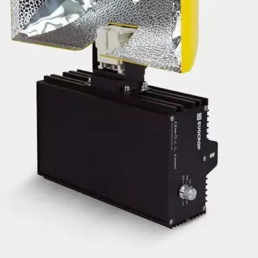 Buy 1000W HPS Kimura Lighting Kit - Growbarato