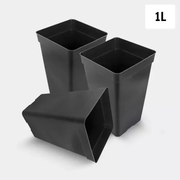 View 1L Square Pot Pack - GB The Green Brand