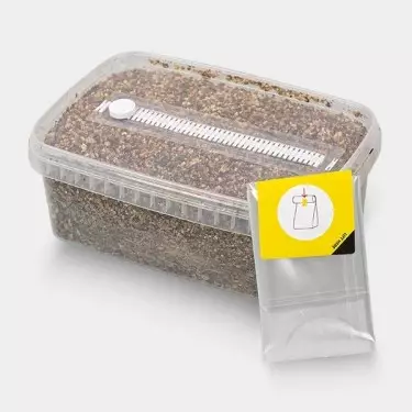 Sustrato de Cultivo para Setas