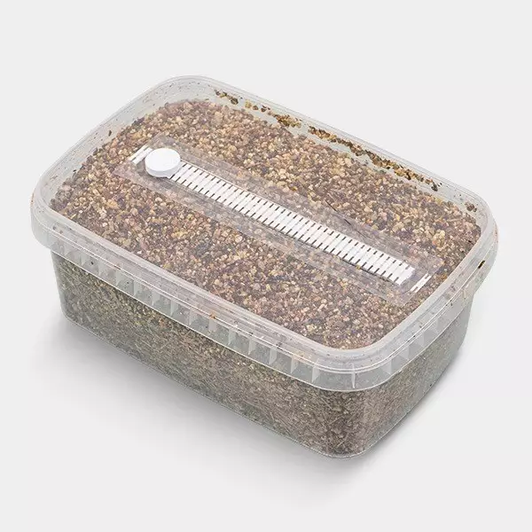 Substrato de Cultivo para Cogumelos Mágicos