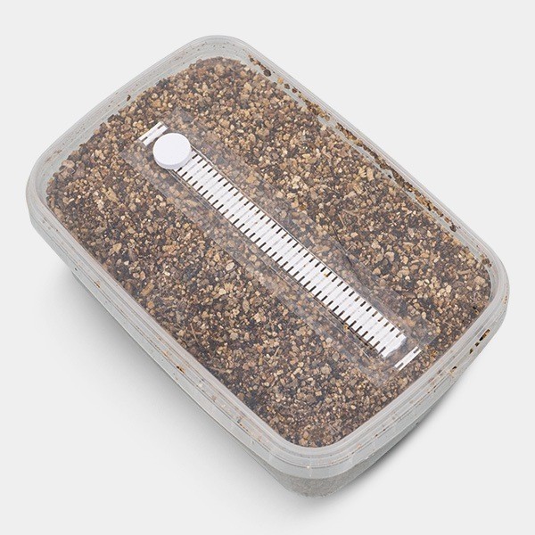 42 Cubetti Di Coltivazione YARNOW - Per Talee E Semi - Substrato Idroponico 4x4cm - Foto 7