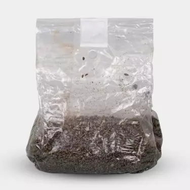 Mushroom Substrate Grow Bag - GB The Green Brand