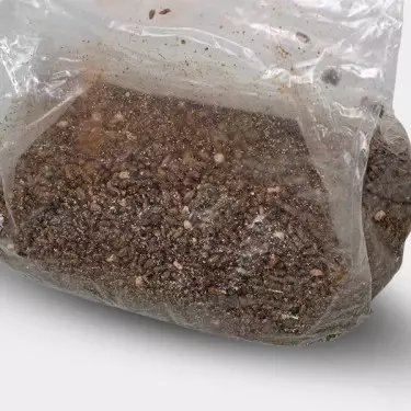 Mushroom Substrate Grow Bag - GB The Green Brand