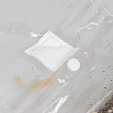 Mushroom Substrate Grow Bag - GB The Green Brand