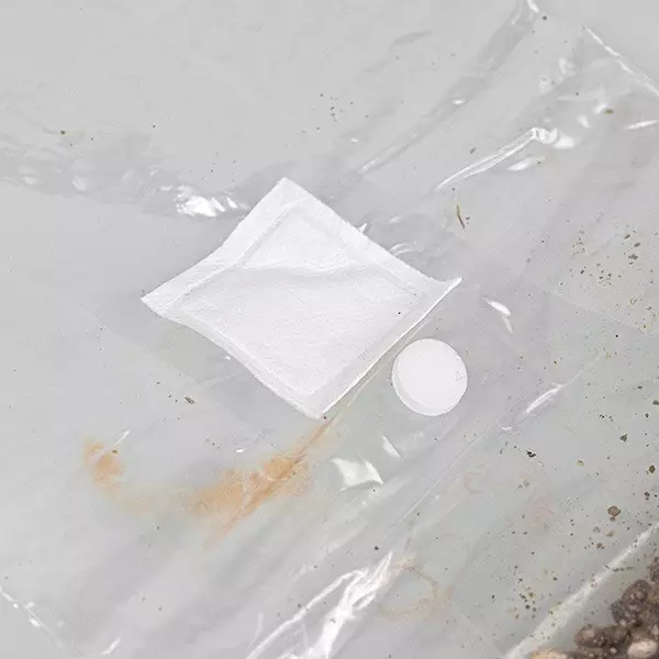 Mushroom Substrate Grow Bag - GB The Green Brand