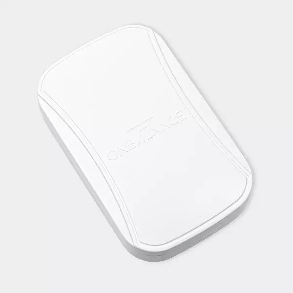 FL-200 Flex Scale (200G X 0.01G)