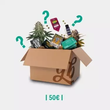 Mystery Box 'Breeder' - GB The Green Brand