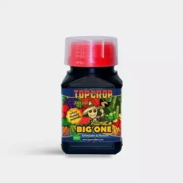 Big One by Top Crop - bloom booster - GB