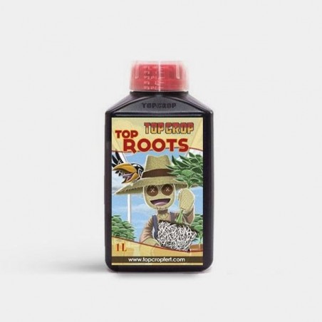 Top Roots 1L