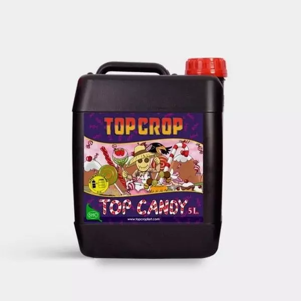 Top Candy Top Candy