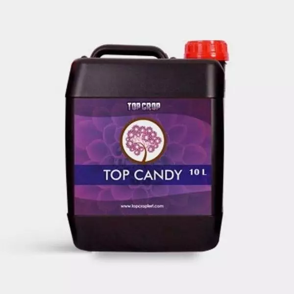 Top Candy Top Candy