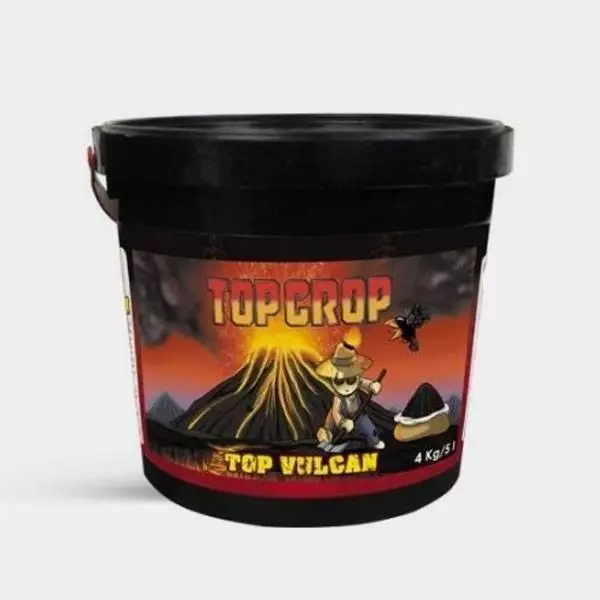 Top Vulcan Top Vulcan