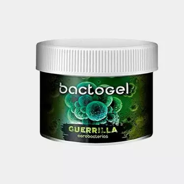 Bactogel polímeros + bacterias 50mg