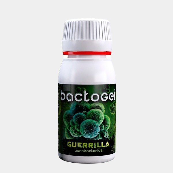 Bactogel polímeros + bacterias 250mg