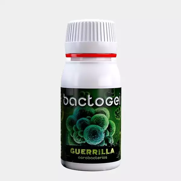 Bactogel polímeros + bacterias 250mg