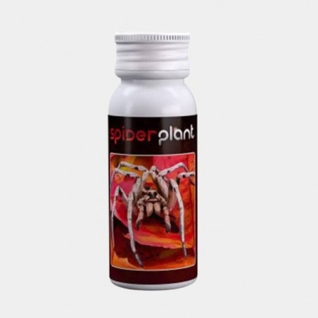 Spiderplant anti ácaros