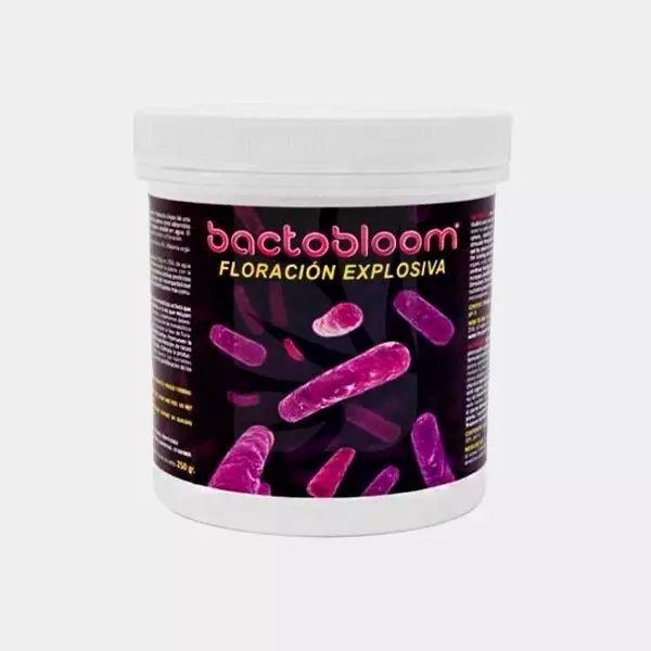 Bactobloom Floração Bactobloom Floração