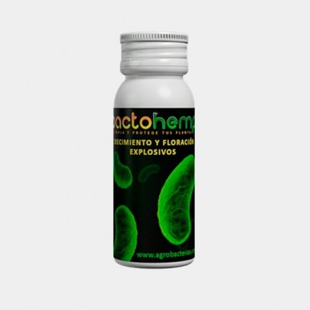 Bactohemp crecimiento 10g