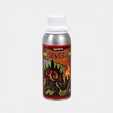 Genesis 300