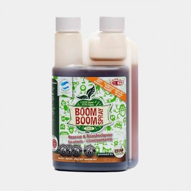 Boom Boom Spray 250ml
