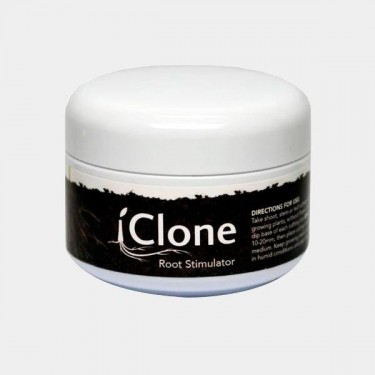 iClone Gel 250ml