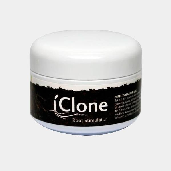 iClone Gel 250ml