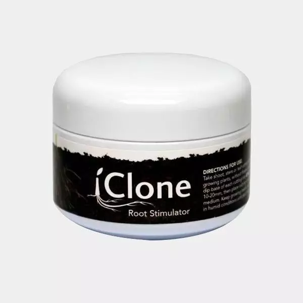 iClone Gel 250ml