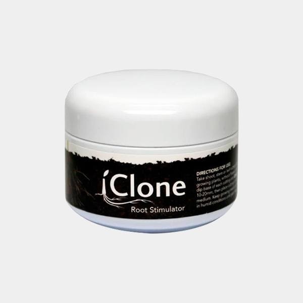 iClone Gel 50ml
