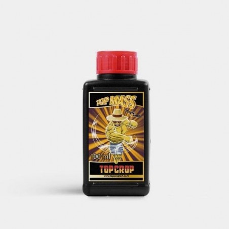 Top Mass 100ml