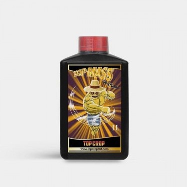 Top Mass 1L