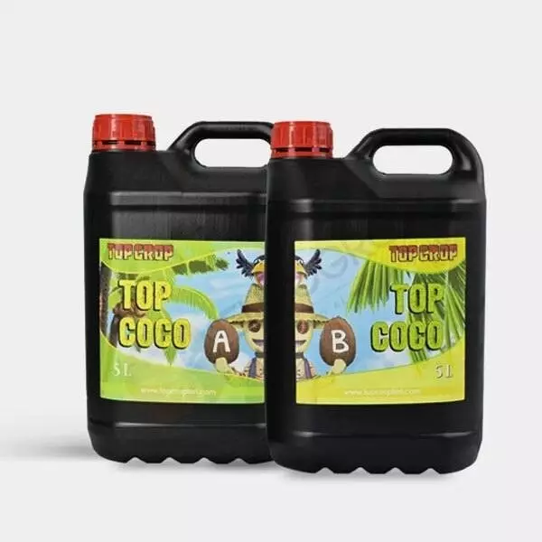 Top Coco A+B Top Coco A+B