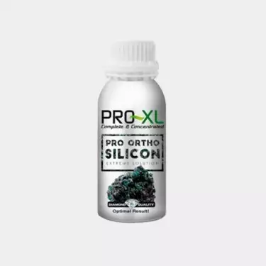 Pro Ortho Pro XL Silicon Aplicar a Cannabis