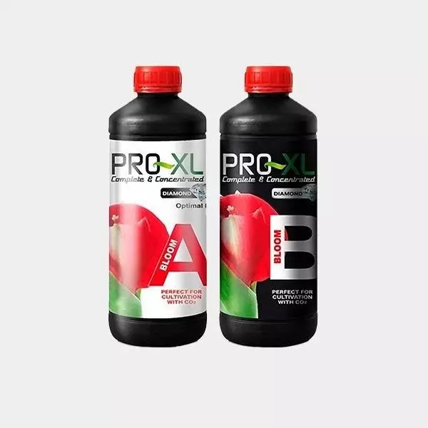 View Bloom A+B 500ml