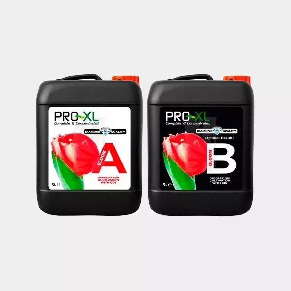 Bloom A+B 5L