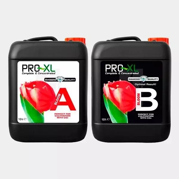 Bloom A+B 10L