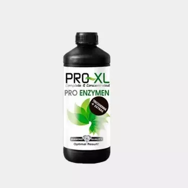 Pro Enzymen complexo acima Pro XL - GB The Green Brand